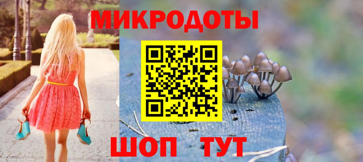 Псилоцибиновые грибы Psilocybe Сочи